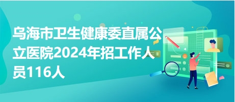 乌海招聘网最新招聘动态深度解读与分析