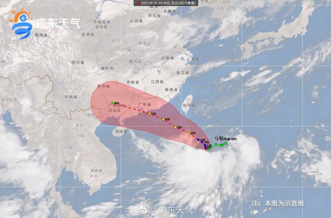 第9号台风最新动态，全力应对，确保安全