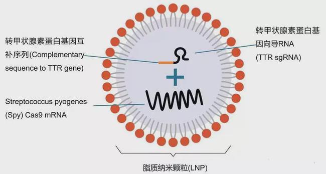 建材 第19页