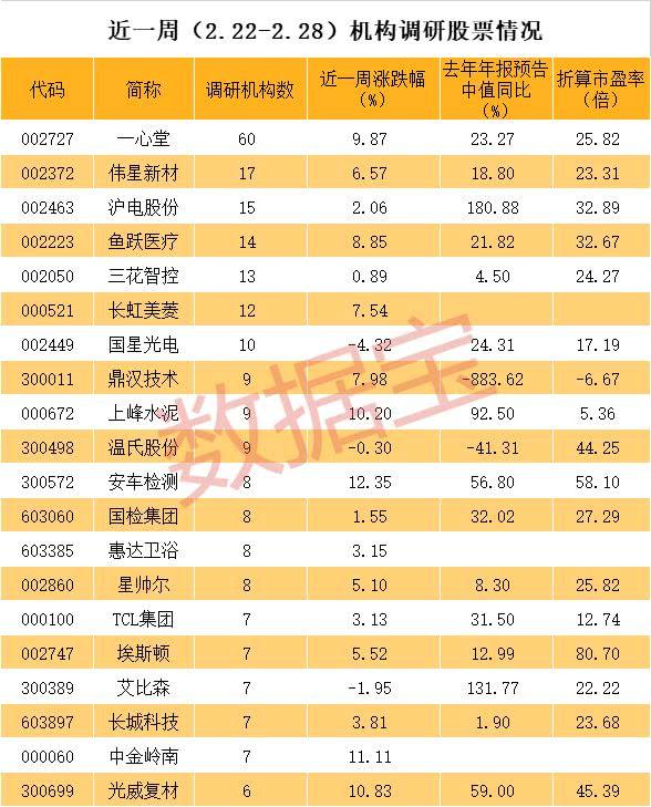 金新农最新动态全面解读