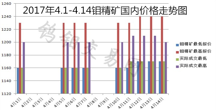 钼最新价格走势动态解析